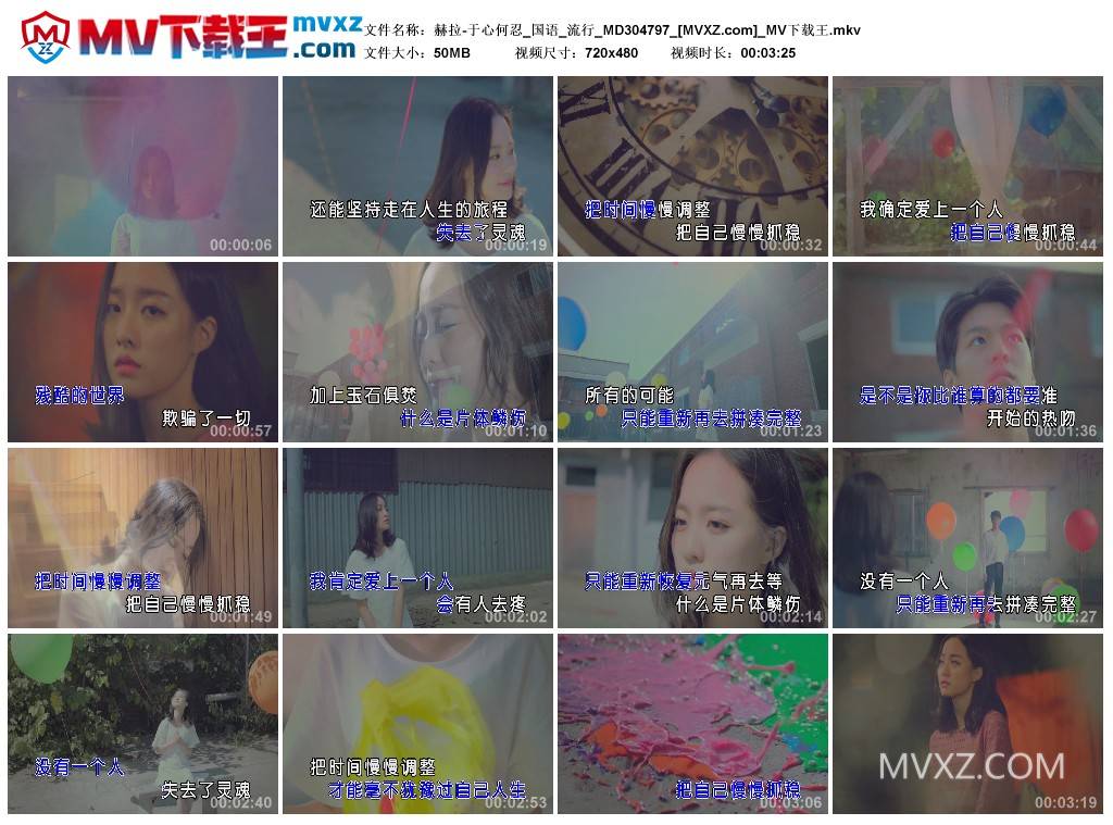 赫拉-于心何忍_国语_流行_MD304797